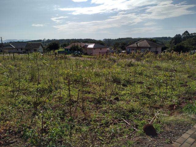 Terreno para Venda Centro Fazenda Vila Nova