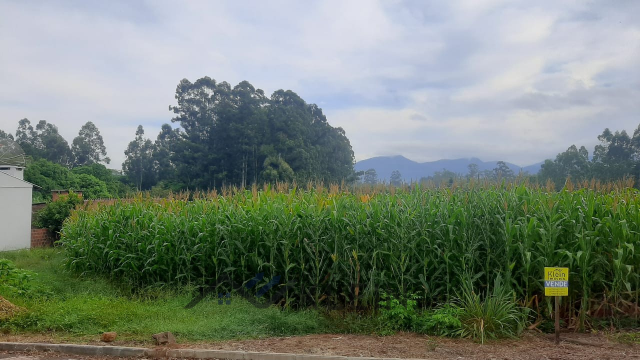 Terreno para Venda Languiru Teutônia
