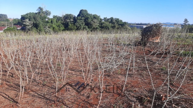 Terreno para Venda Alesgut Teutônia